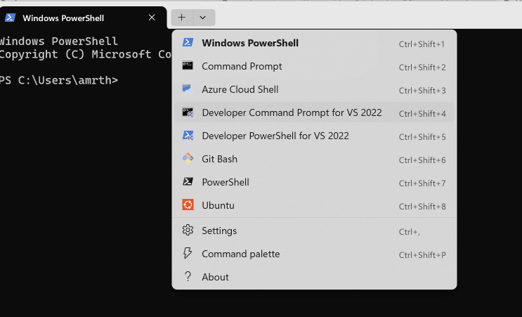 Command Prompt VS Option